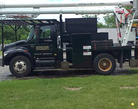 This international bucket truck is part of the fleet owned by Olsen Tree Experts