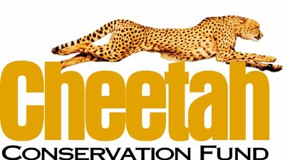cheetah conservation fund