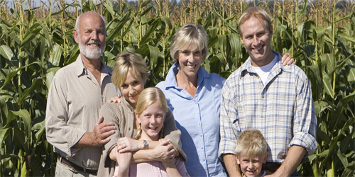 Family Farms Are Still Thriving in America