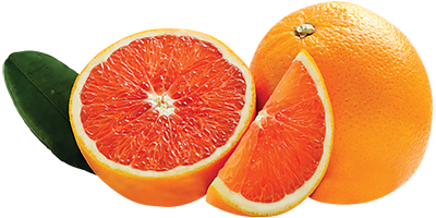 The delicious Cara Cara orange