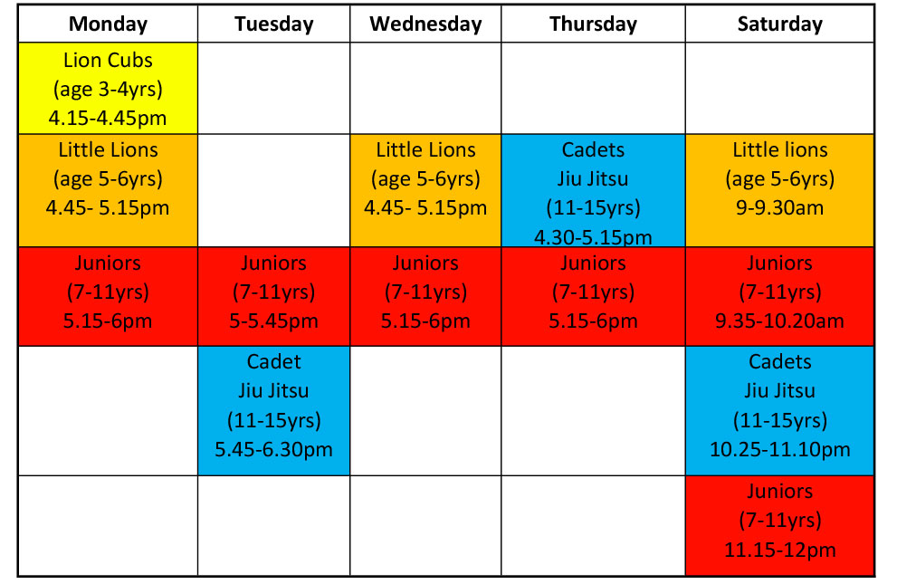 Exeter Martial Arts Children's Timetable