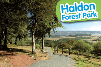 Haldon Forest Park