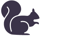 Icon Eichhörnchen und Apfel