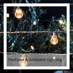Festoon and ambient lighting | Godney Marquee Hire