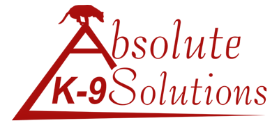 Absolute k9 Solutions Lunenburg Massachusetts