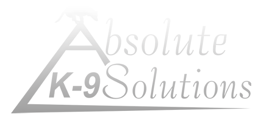 Absolute k9 Solutions Lunenburg Massachusetts