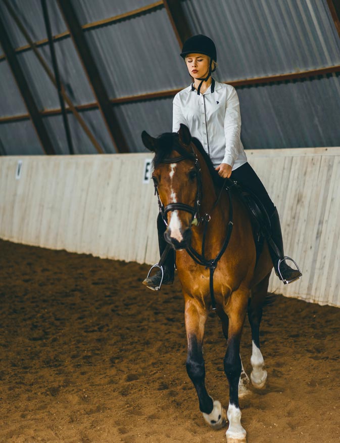 Riding Arenas (Maneges) and Gallops | Robinson Plant