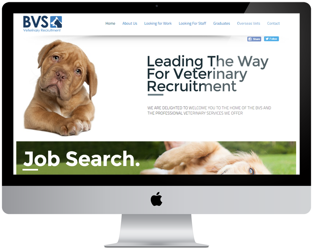 BVS Vets Responsive Website