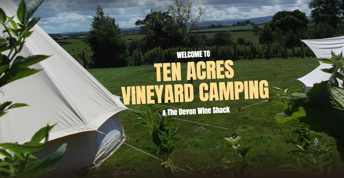 Ten Acres Vineyard Camping
