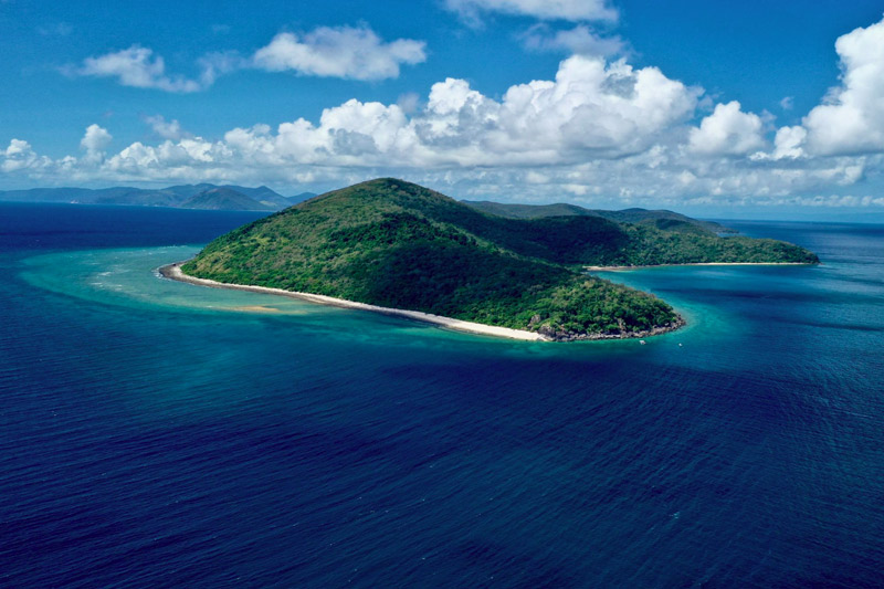 Why is this habitat under threat? Why is this habitat under threat?