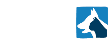 BVS Veterinary Jobs | Locums, Surgeons, Technicians, Nurses 