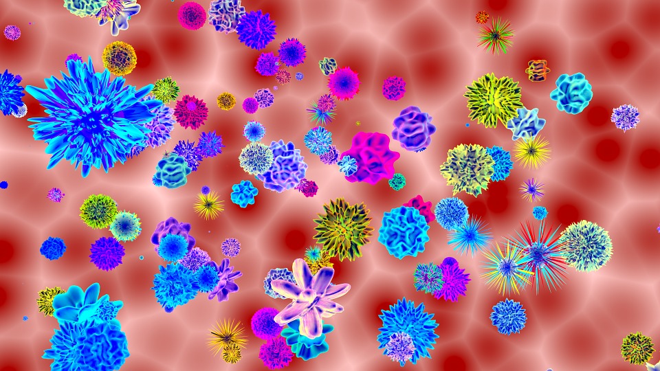 האם וירוסים וחיידקים גורמים למחלות?