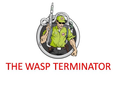 The Wasp Terminator Velez Malaga Torre del Mar