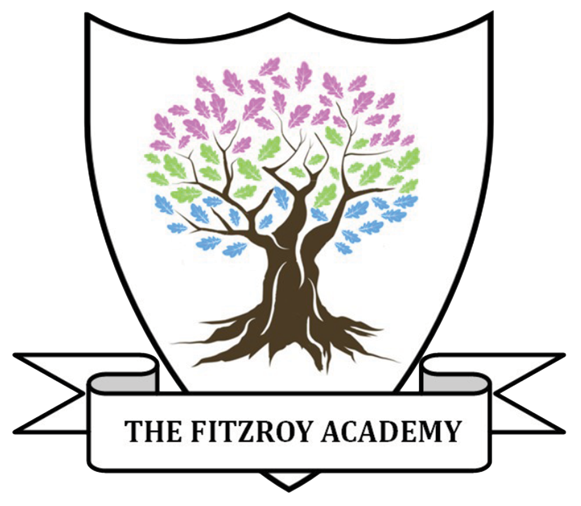 The Fitzroy Academy