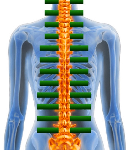 Exeter Chiropractic Clinic