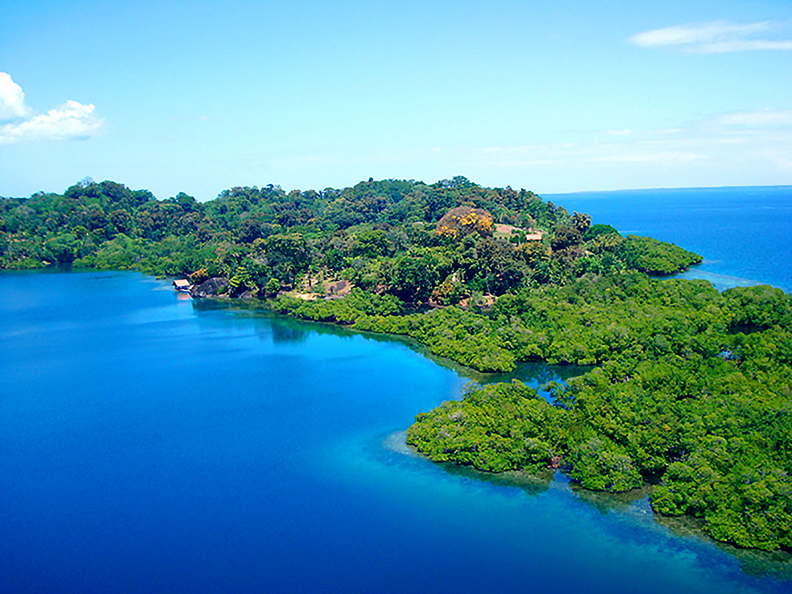 Biku Treehouse location on Panama Island