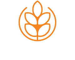 Devon Thatching Ltd | Master Thatchers