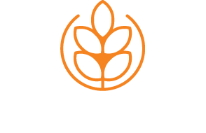 Devon Thatching Ltd | Master Thatchers Devon