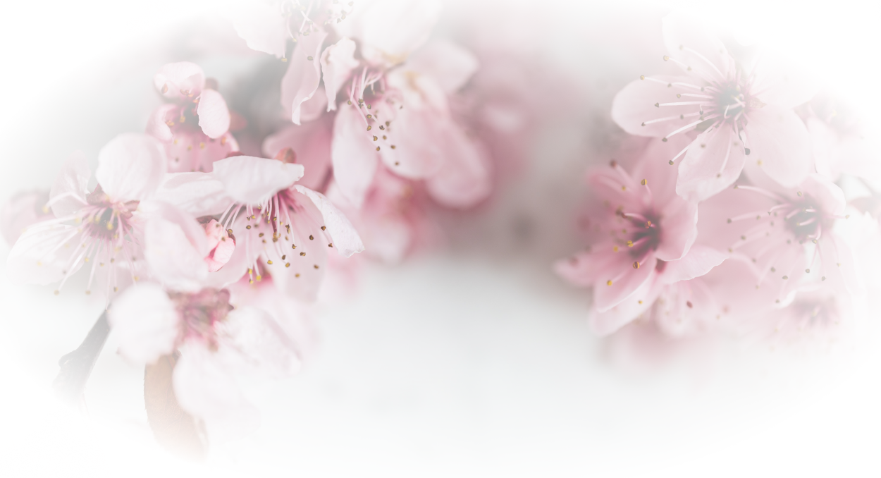 1776094B-FA45-D86B-BA58-C04A4EDA5EE2.png